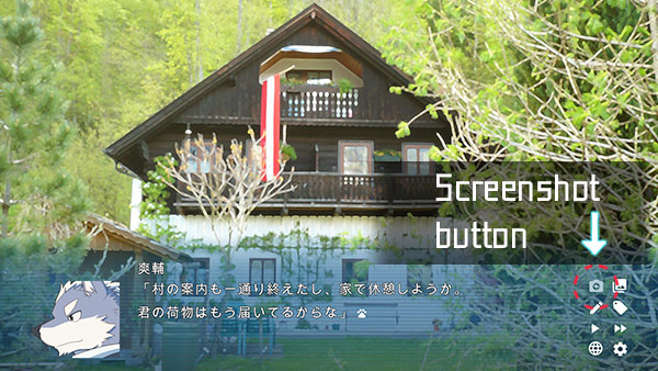 About Screenshot function